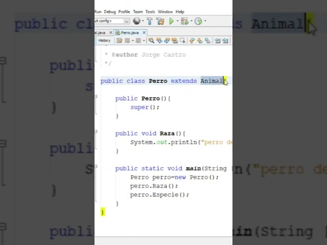 Simple INHERITANCE in JAVA with NETBEANS 💻 [Object Oriented Programming]