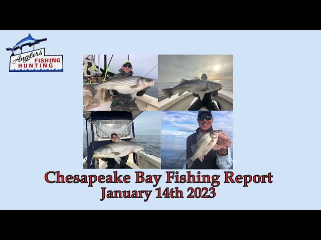 Chesapeake Bay Fishing Report January 14th 2023