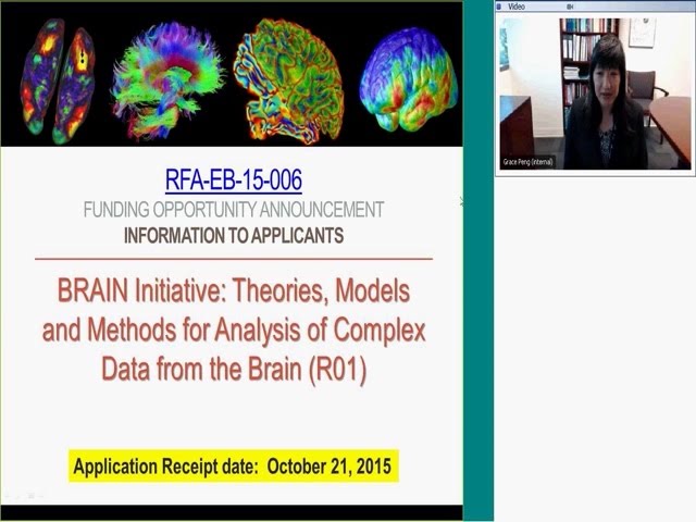 BRAIN Theories RFA