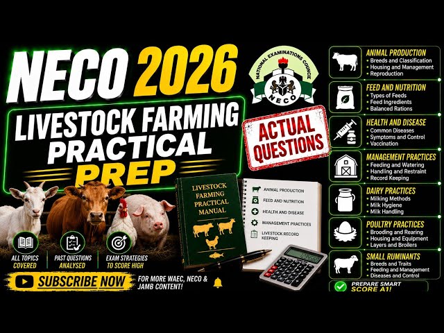NECO 2026 LIVESTOCK FARMING PRACTICAL QUESTIONS