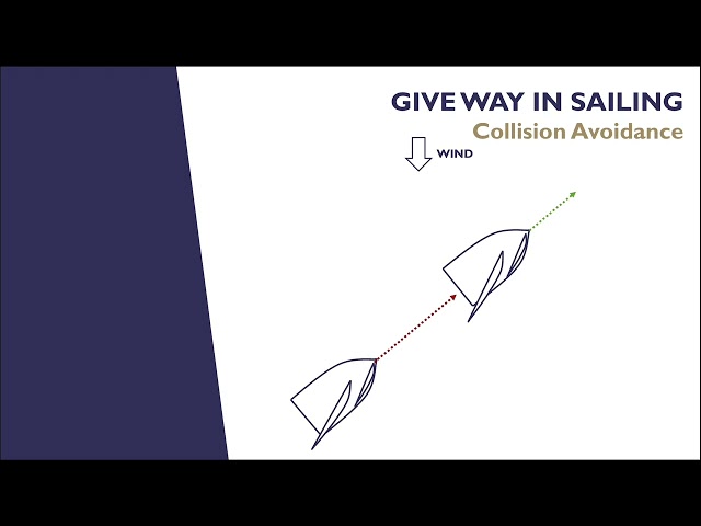 Collision Avoidance - RNZYS Level 2 Module 4