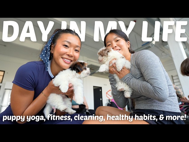 PRODUCTIVE DAY IN MY LIFE - Sunday Reset Vlog (puppy yoga, cleaning, healthy habits, & more!)