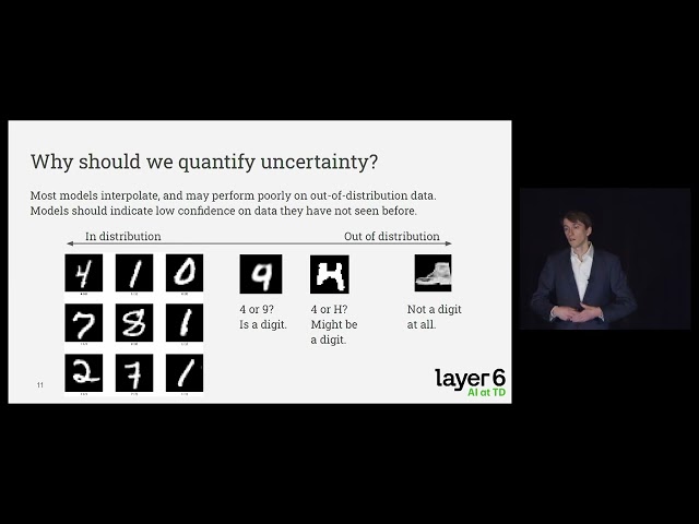 Quantifying the Uncertainty in Model Predictions