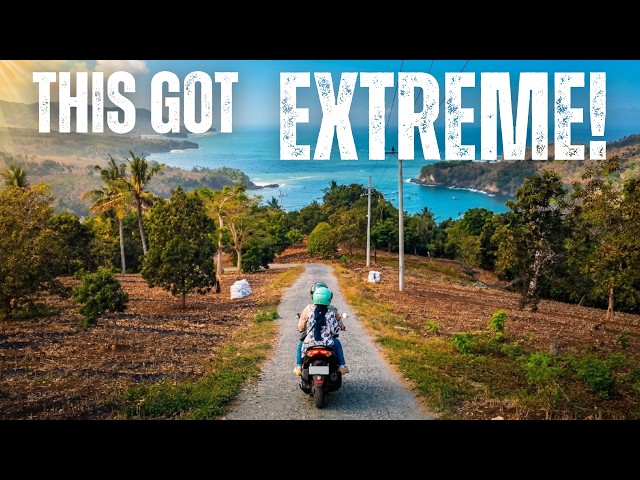 We Had NO Idea Where This Road Would Take Us… | East Java🇮🇩