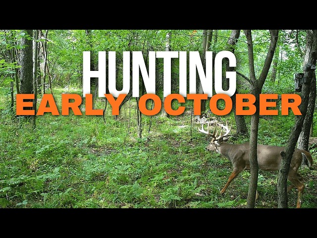 How to Hunt Early Season Whitetails | 7 Hunting Strategies