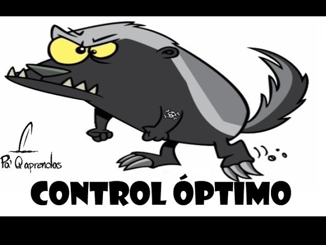 Optimal Control using the Hamiltonian - 4