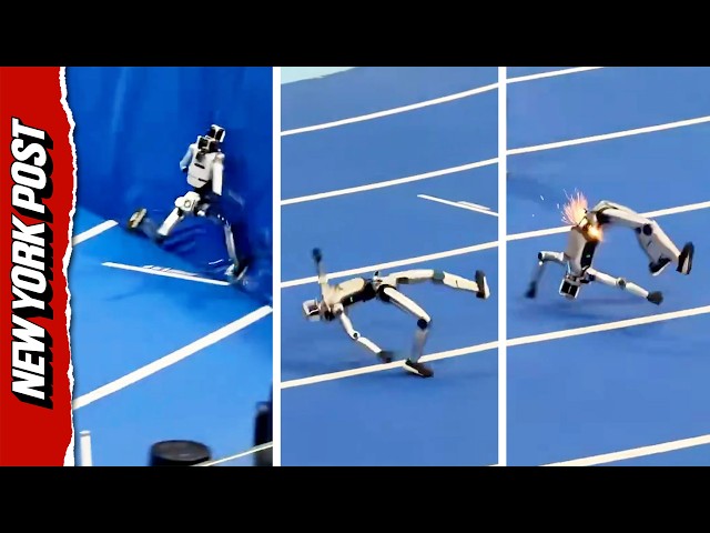 Robot Athlete Turns Into Crash Test Dummy After Smacking Into Wall