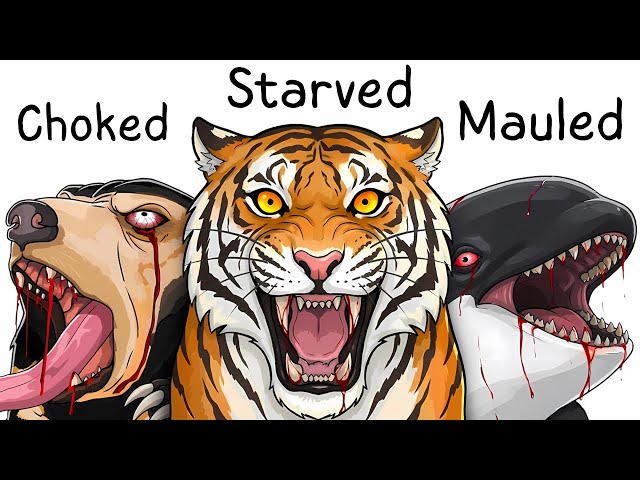 Why It Sucks to Be Born As an Apex Predator