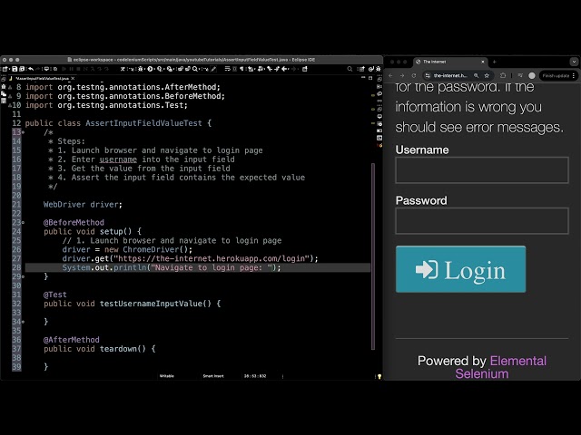 How to Assert Input Field Value (Tutorial) | Selenium + TestNG + Java