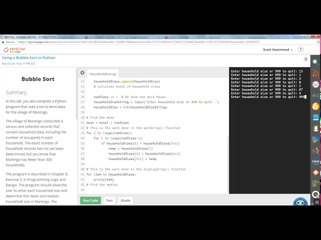 COP1000 Using a Bubble Sort in Python
