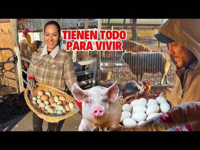 ABANDONARON la ciudad para VIVIR en su GRANJA❤️🐔🐷 Josué y Elie