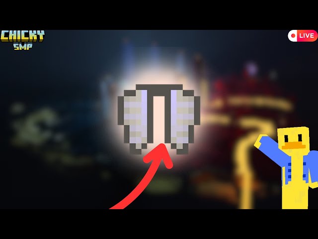 Geting an elytra || ChickySMP