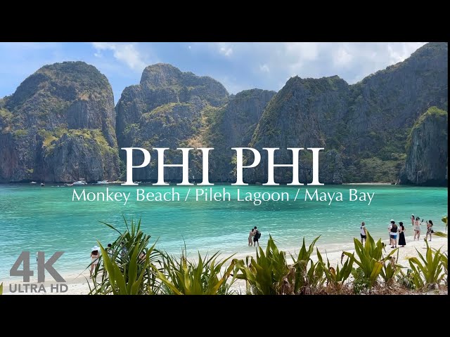 [PhiPhi island / Phuket] One of the most stunning beaches in the world. Mayabay 1day trip /4K UHD