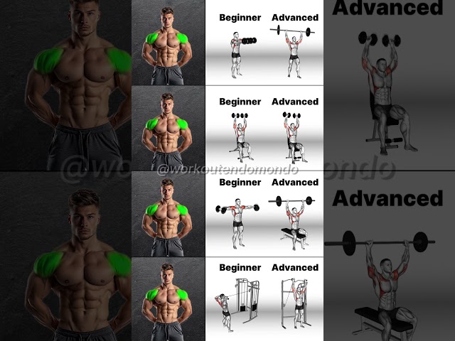 Beginner to Pro Shoulder Workout