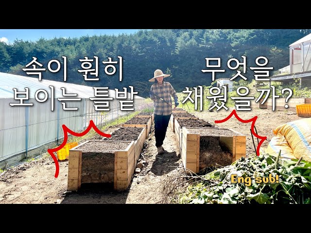 [농사일지36] 3년 동안 쌓은 텃밭 노하우, 후글컬처 틀밭 만드는 방법