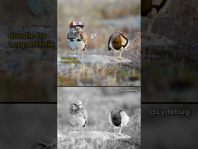 📲 VIRAL CONTENT 📲