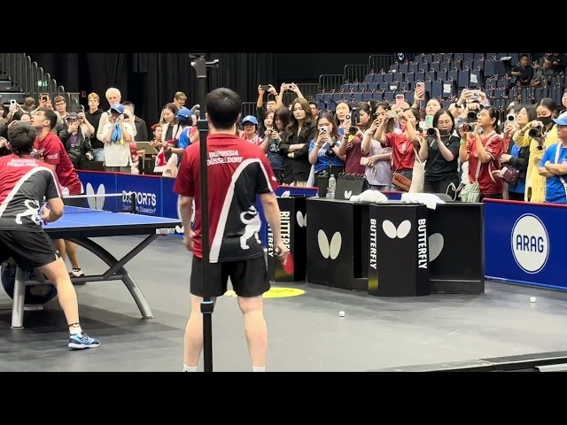 FAN ZHENDONG warmup before his first match for his new club in the german tabletennis league part 1
