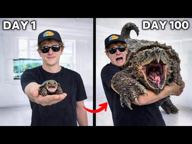 I Got a Pet Dinosaur (bad idea)