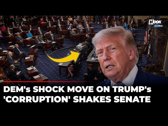 'We're Going To Flush Out...': Chuck Schumer Stuns Trump, Introduces Anti-Corruption Bill | US News