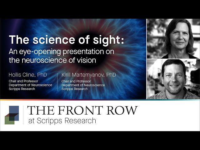 The Science of Sight: An Eye-Opening Presentation on the Neuroscience of Vision