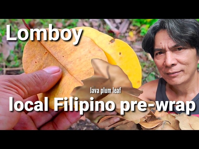 Another day of finding java plum leaf "Lomboy"