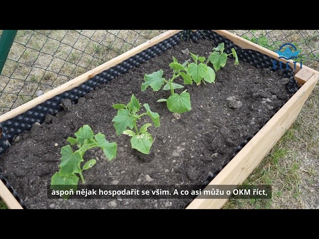 Když mladí tvoří společně, vznikají skvělé věci!