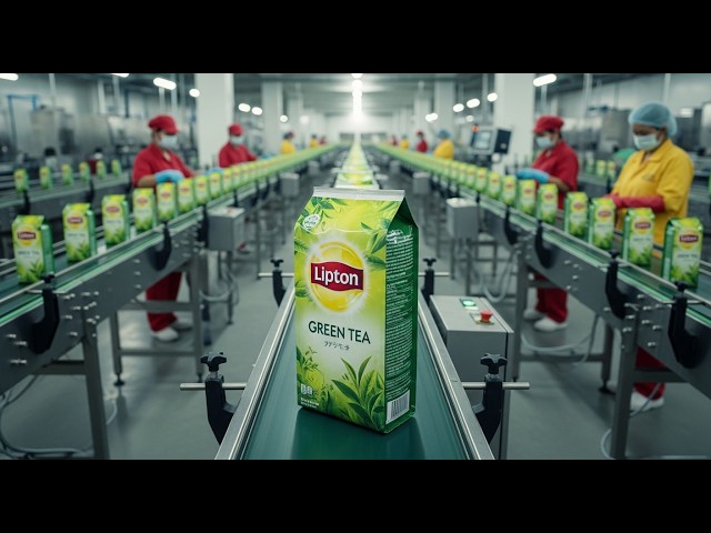 Inside the Tea Processing Factory – How Fresh Leaves Become a Billion-Dollar Beverage