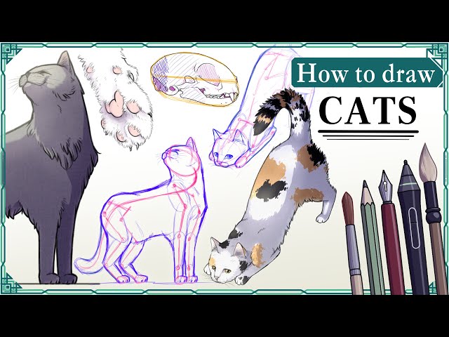 How to draw CATS - Step by Step Art Tutorial