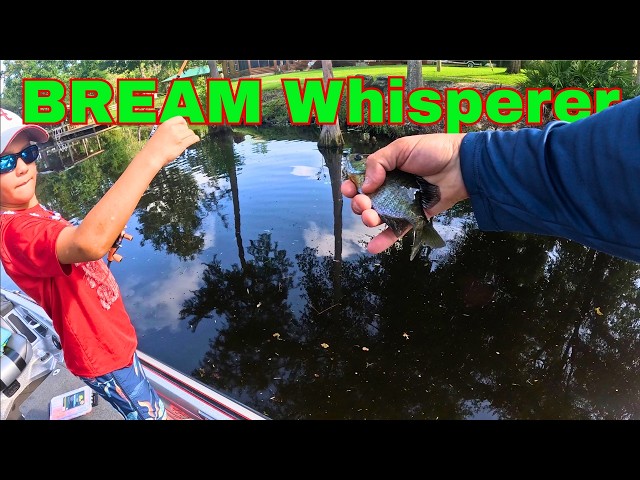 Bluegill FISHING on Perdido River!