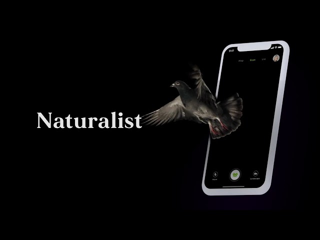 Naturalist App UIUX Design in Motion