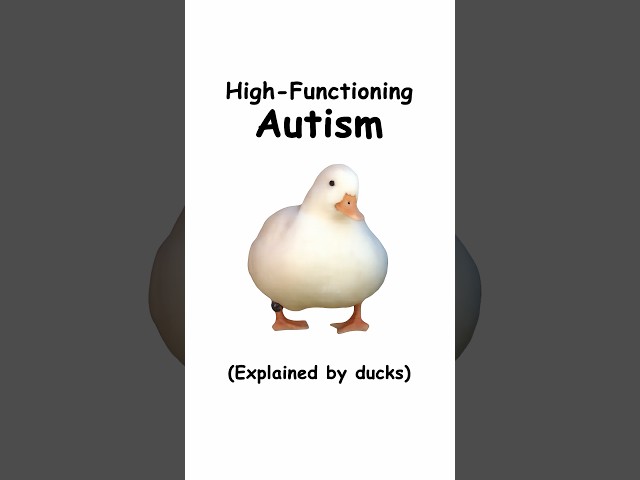 High functioning autism (explained by ducks)