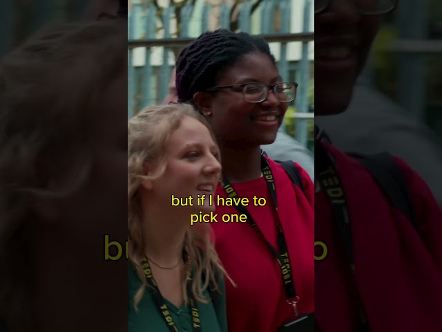 The best things about TEDI-London - students tell all