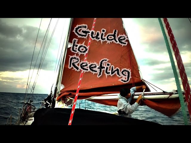 Can you Reef ALONE?