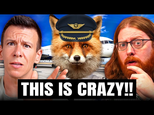 The Furry Pilots Scandal Accidentally Exposed A Bigger Problem