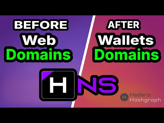 HASHGRAPH DOMAIN NAME: Nombra tu Wallet HashPack