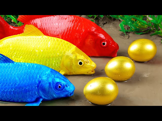 Best Of Small Fish Recipe | MINIATURE Fish Cooking Made EASY with Simple Recipe