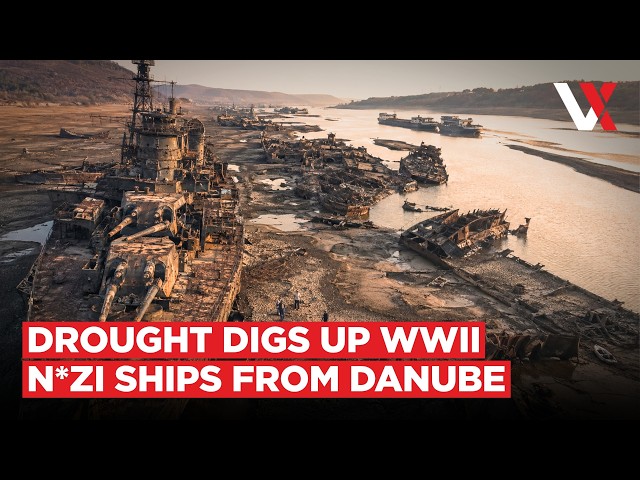 Europe's Drought Exposes N*zi Warships | 80-Year-Old WWII Fleet Resurfaces In Danube River | VERTEX