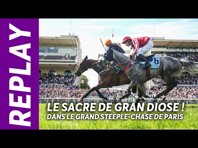 GRAND STEEPLE-CHASE DE PARIS 2024 : GRAN DIOSE SACRÉ