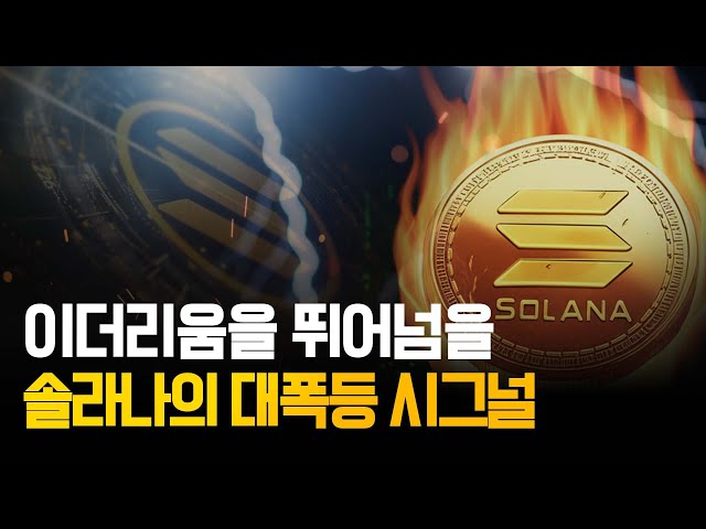 [ 솔라나 ] "제2의 이더리움?" 데이터로 본 2025년 하반기 전망과 파이어댄서의 모든 것