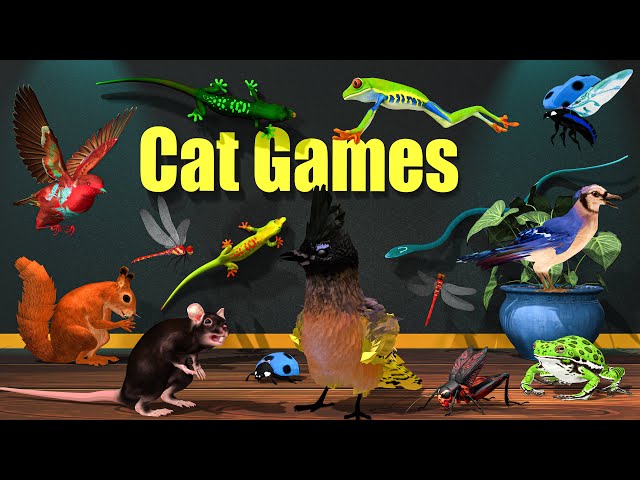 Ultimate Fast Animals for Cats🐦 – Birds, Lizards, Frogs & Bugs Show | 4K Live Cat TV