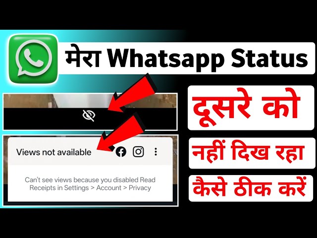 Can't see views whatsapp status view problem || WhatsApp Status Views Not Showing Problem 