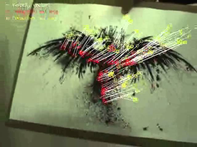 Optical Flow Tracking 2