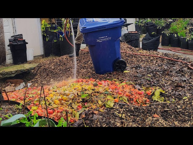 Fruit Compost Drop #composting 