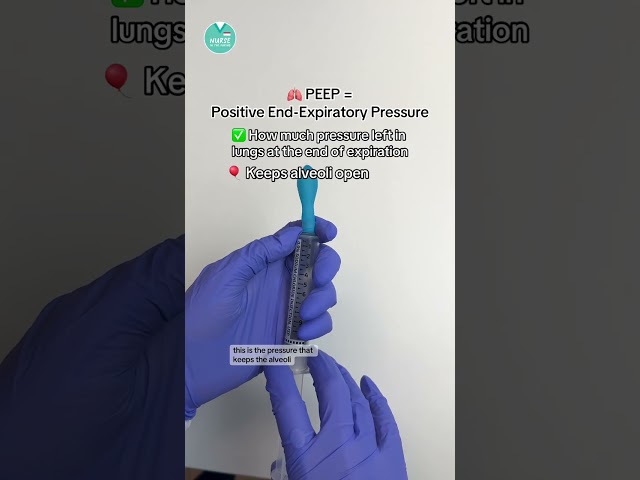 🫁 Basic Ventilator Settings