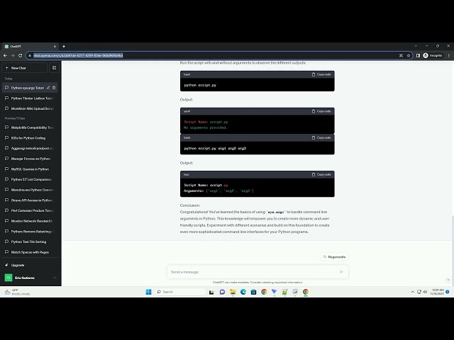 Python command line argument using sys argv