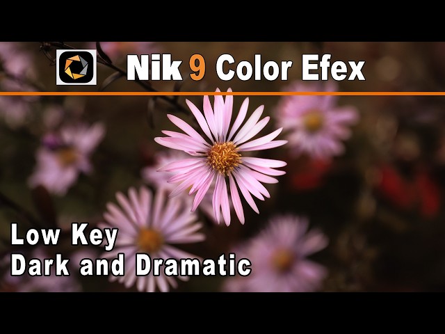 Low Key Filter in Nik 9 Color Efex | Create a Dark & Dramatic Photo Look