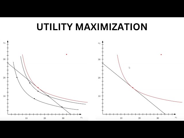 Utility Maximization Explained | Graphical Approach to Consumer Behavior in Microeconomics