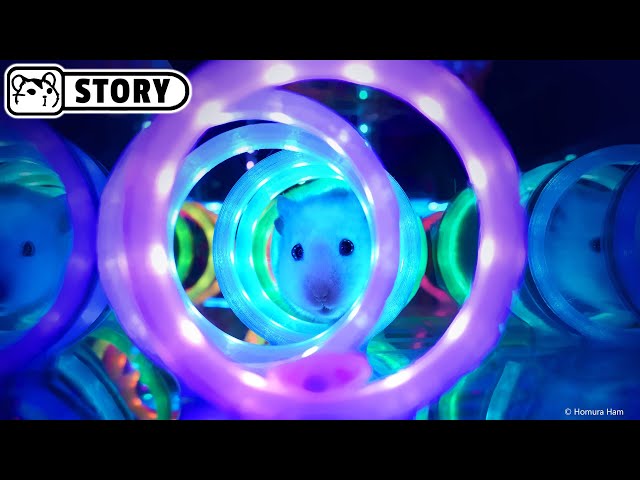 Neon Cube Hamster Maze 🐟 Aquarium and Minecraft 🐟 Homura Ham
