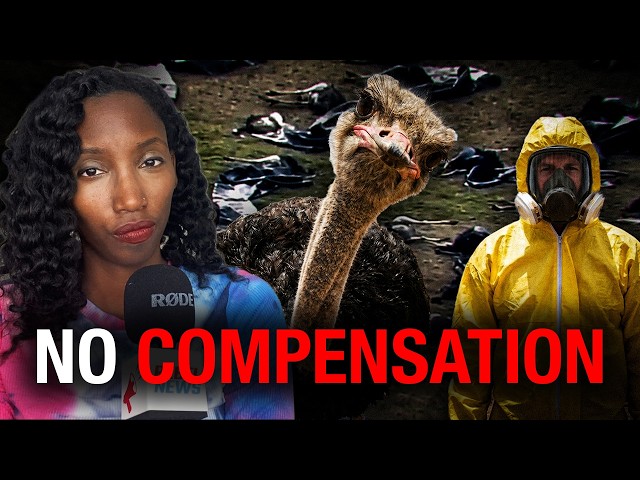 Canada Just Delivered Another Blow to the Ostrich Farm