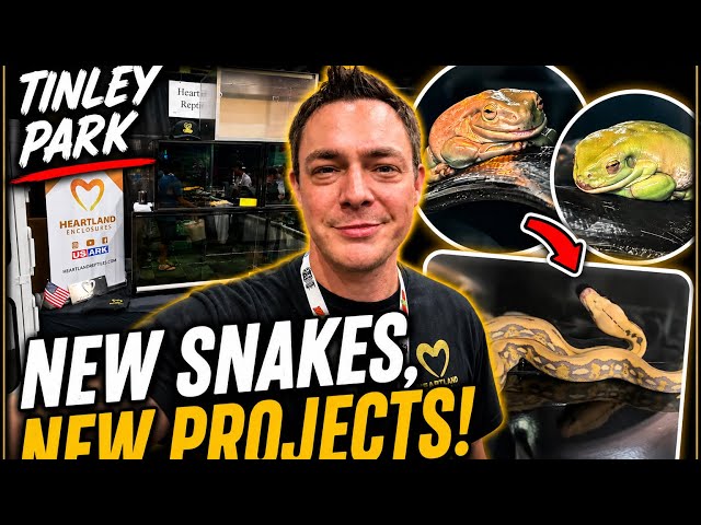 I Finally Made It to Tinley Park!